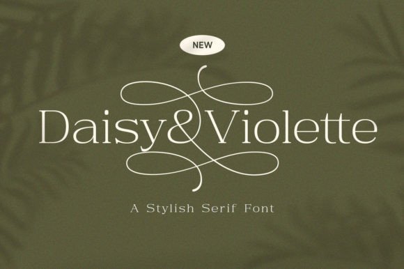 Discovering Daisy Violette: The Modern Serif That Redefines Elegance in Design